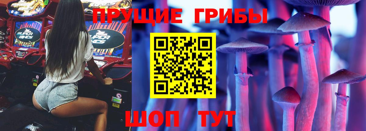 Псилоцибиновые грибы GOLDEN TEACHER  Вход с VPN  Печора 
